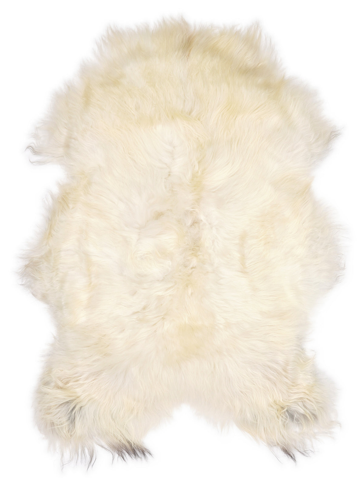 Icelandic multicolour sheepskin rug of about 110 × 75 cm, seen from above: the exact sheepskin you receive