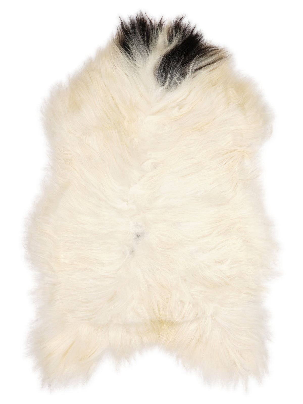 Icelandic multicolour sheepskin rug of about 120 × 75 cm, seen from above: the exact sheepskin you receive