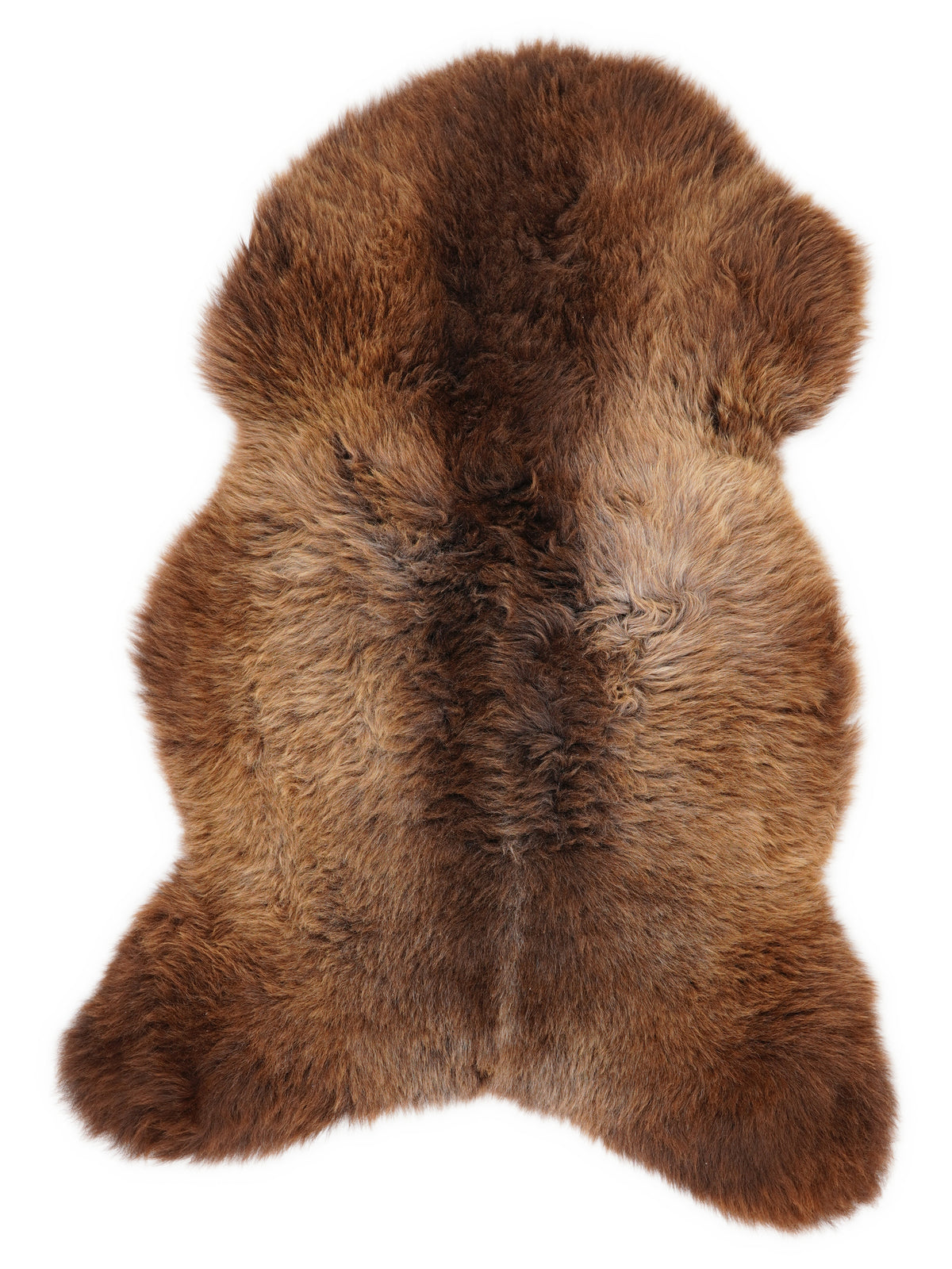 British multicolour sheepskin rug of about 110 × 65 cm, seen from above: the exact sheepskin you receive