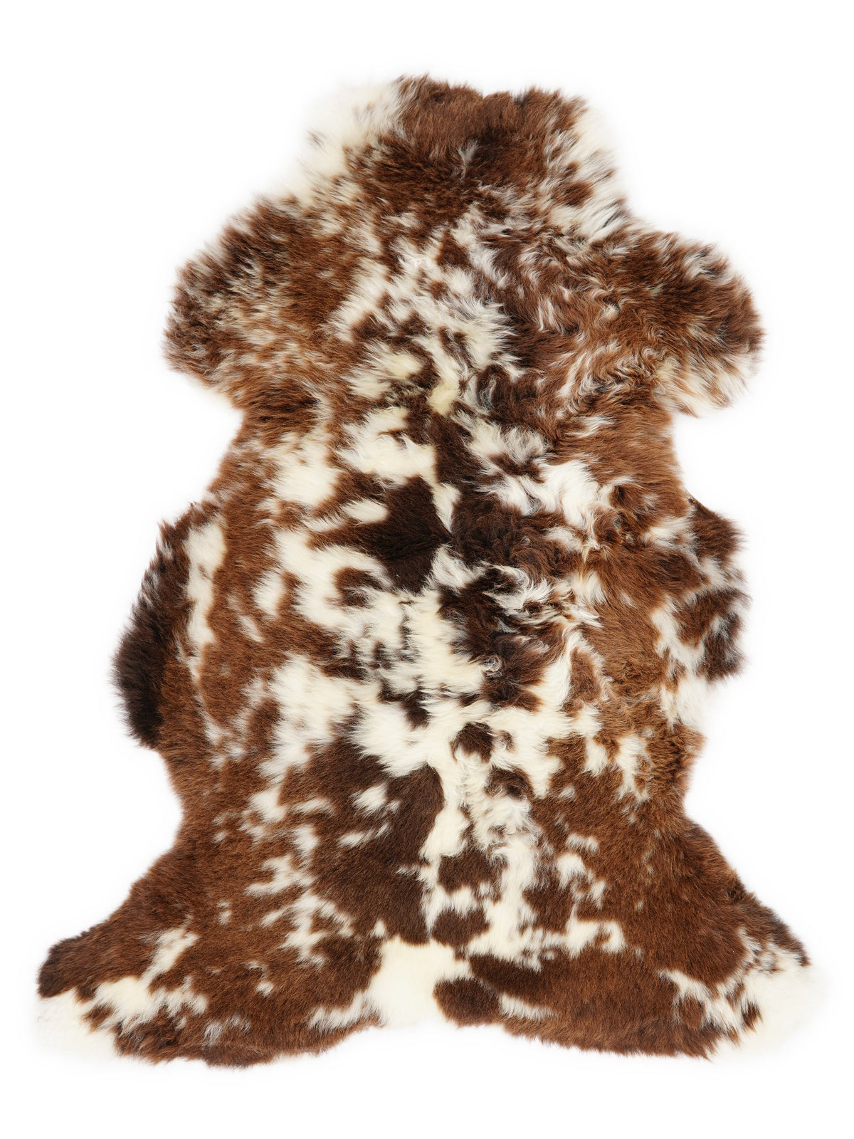 British multicolour sheepskin rug of about 110 × 65 cm, seen from above: the exact sheepskin you receive