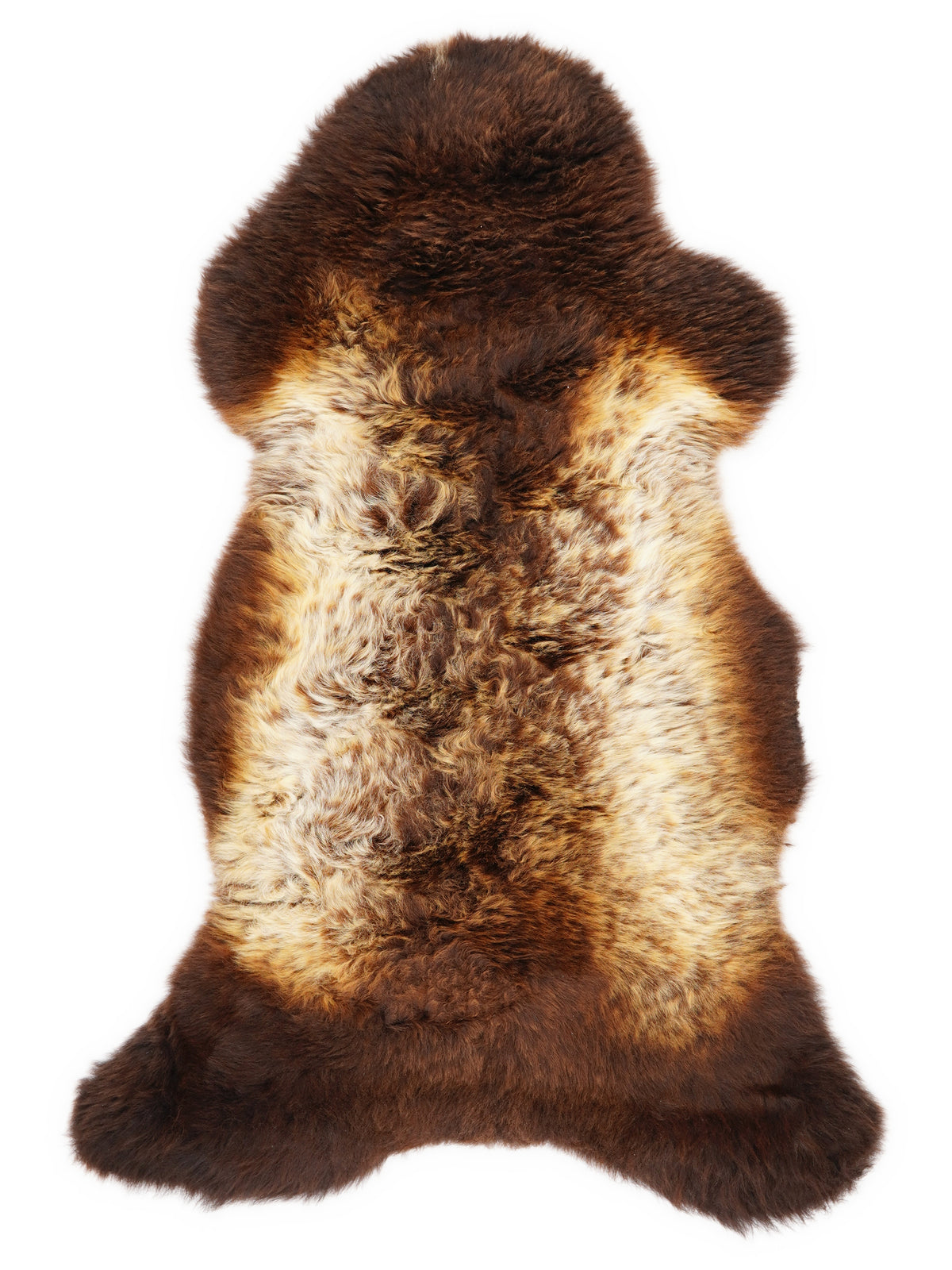 British multicolour sheepskin rug of about 110 × 50 cm, seen from above: the exact sheepskin you receive