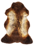British multicolour sheepskin rug of about 110 × 65 cm, seen from above: the exact sheepskin you receive