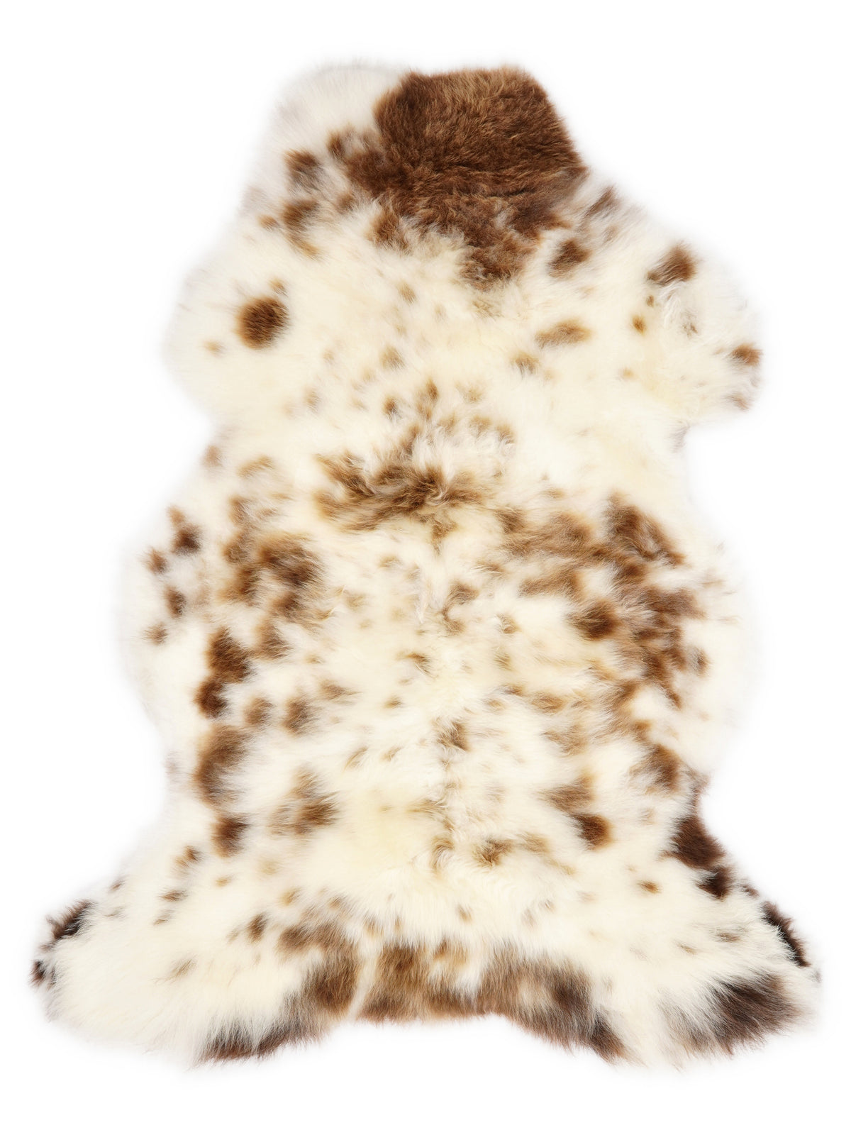 British multicolour sheepskin rug of about 110 × 65 cm, seen from above: the exact sheepskin you receive