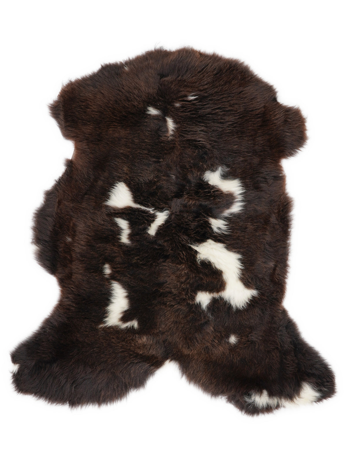 British multicolour sheepskin rug of about 100 × 65 cm, seen from above: the exact sheepskin you receive