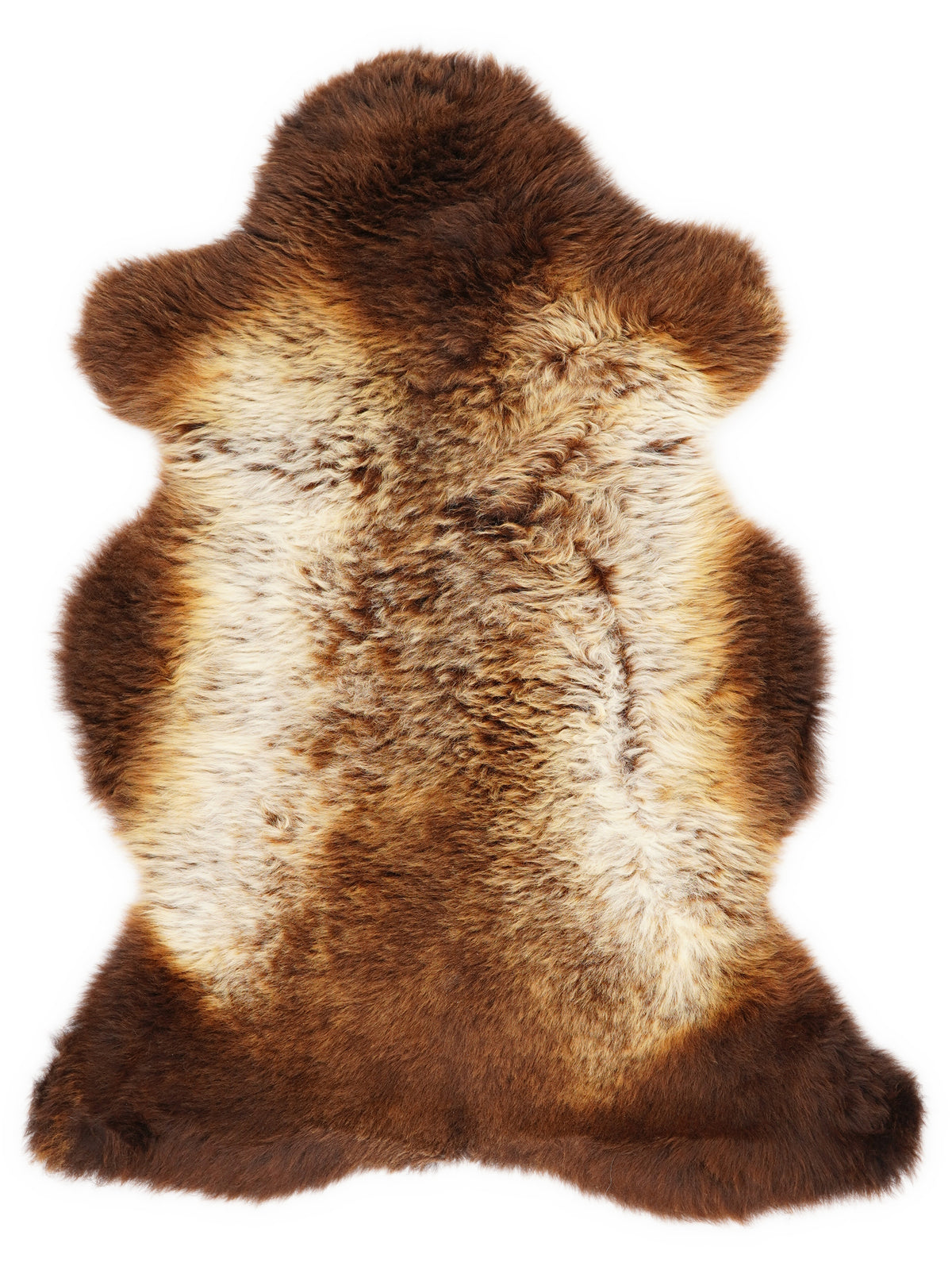 British multicolour sheepskin rug of about 100 × 60 cm, seen from above: the exact sheepskin you receive