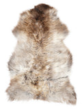 British multicolour sheepskin rug of about 120 × 75 cm, seen from above: the exact sheepskin you receive