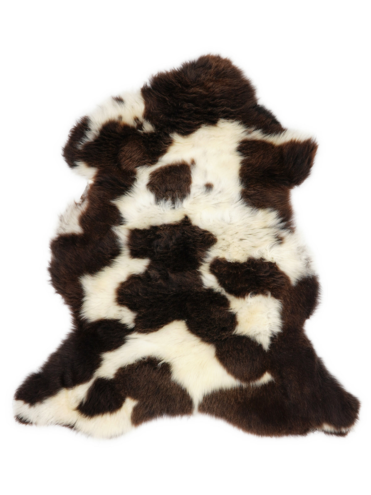 British multicolour sheepskin rug of about 100 × 65 cm, seen from above: the exact sheepskin you receive