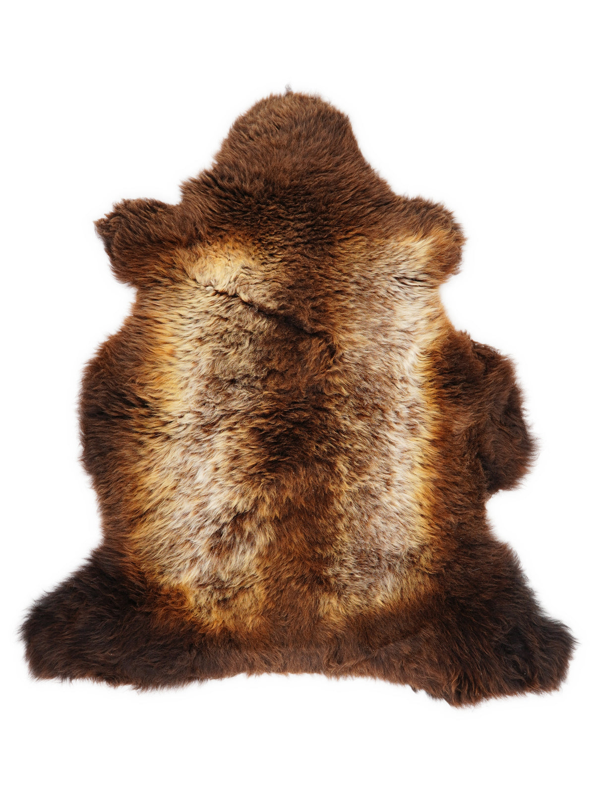 British multicolour sheepskin rug of about 110 × 70 cm, seen from above: the exact sheepskin you receive