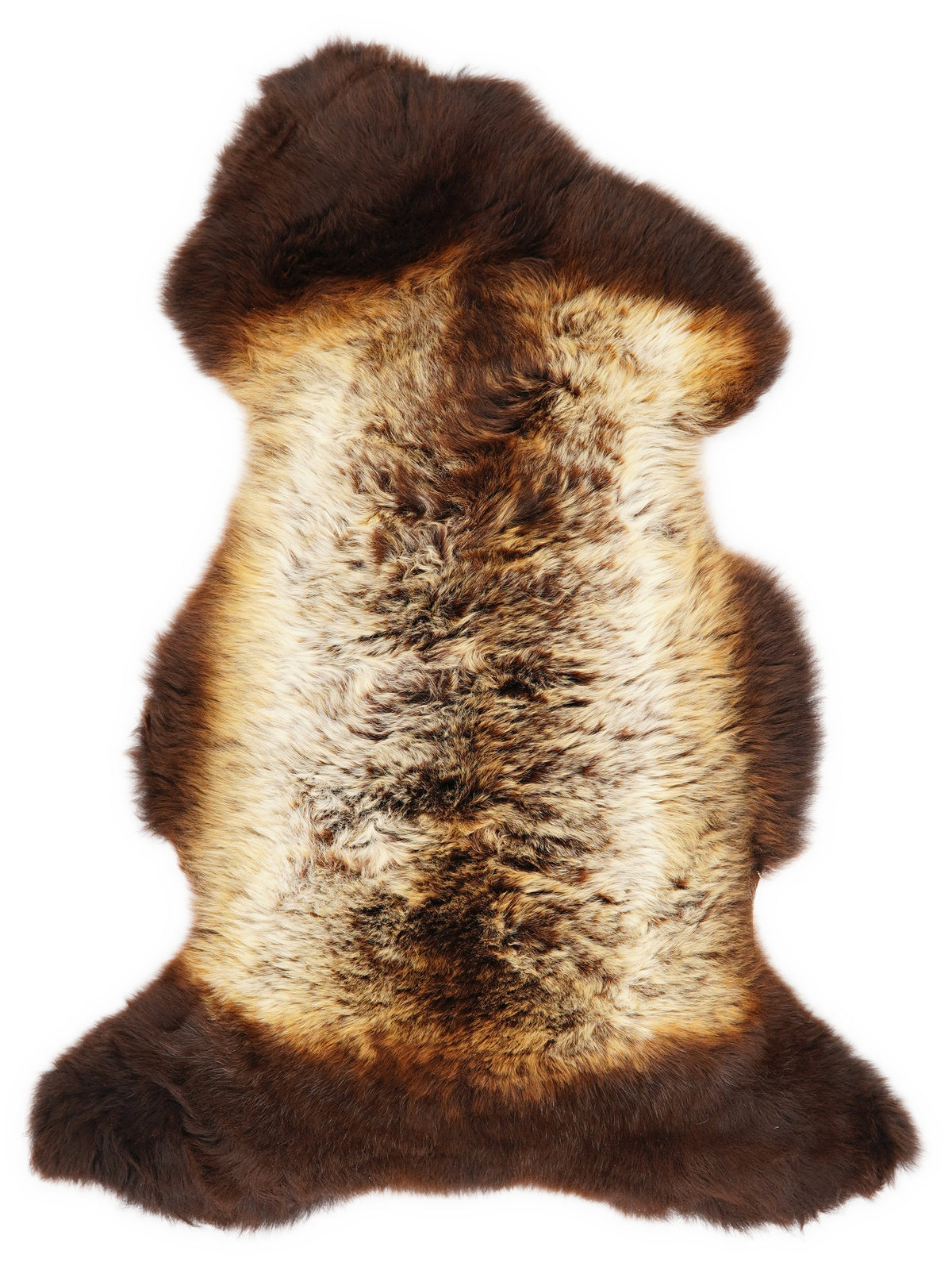 British multicolour sheepskin rug of about 110 × 55 cm, seen from above: the exact sheepskin you receive