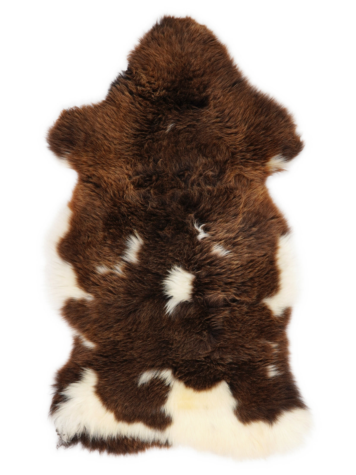 British multicolour sheepskin rug of about 105 × 60 cm, seen from above: the exact sheepskin you receive