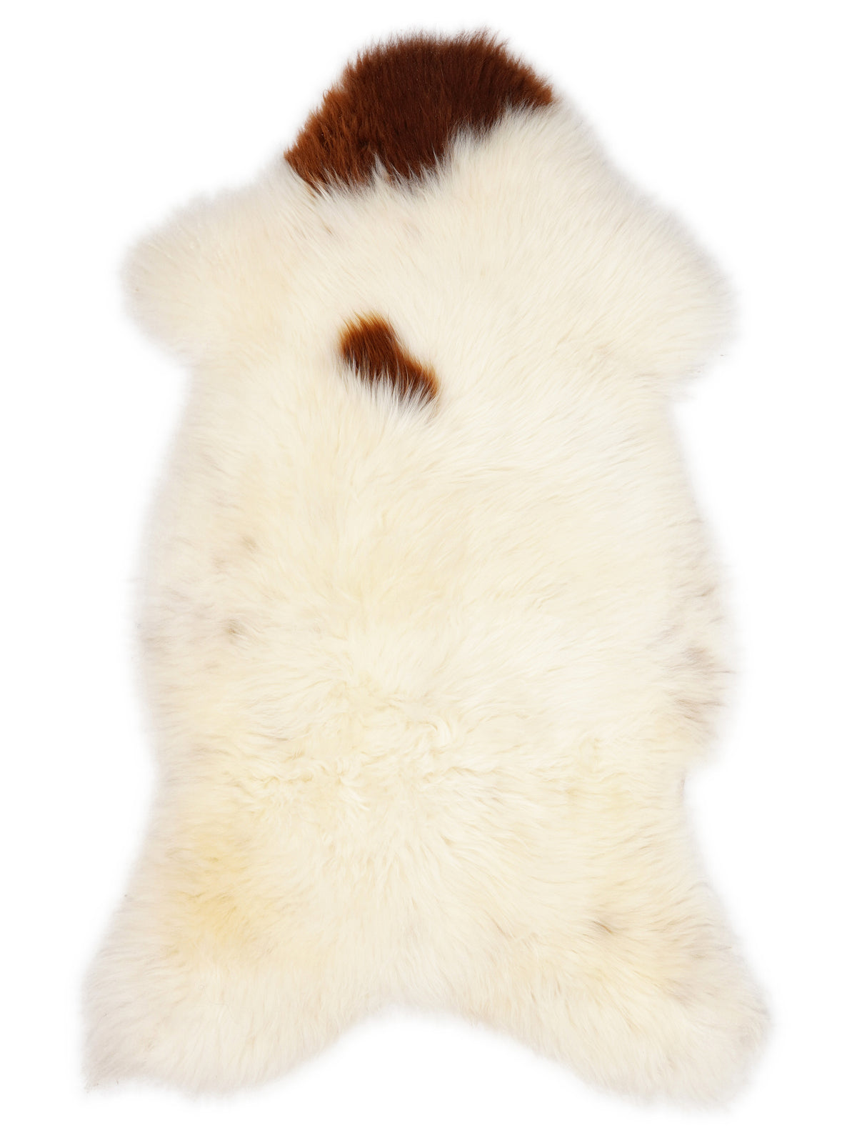 British multicolour sheepskin rug of about 130 × 65 cm, seen from above: the exact sheepskin you receive