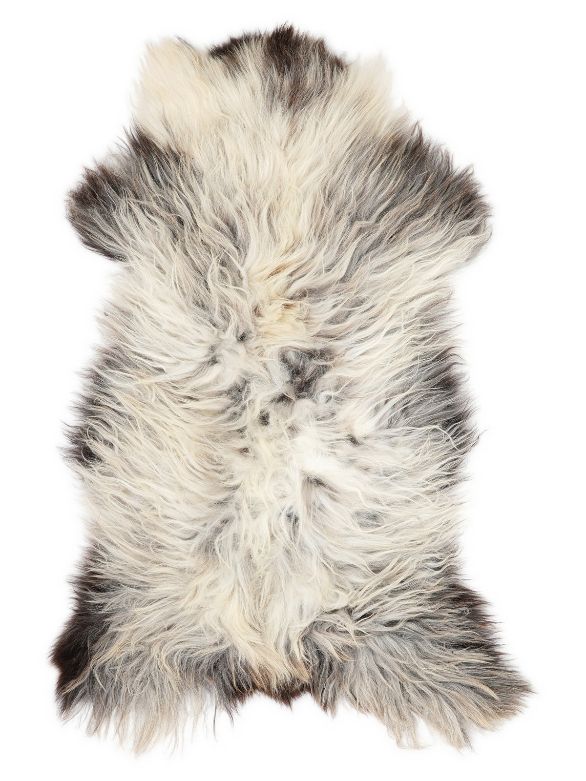 British multicolour sheepskin rug of about 130 × 70 cm, seen from above: the exact sheepskin you receive