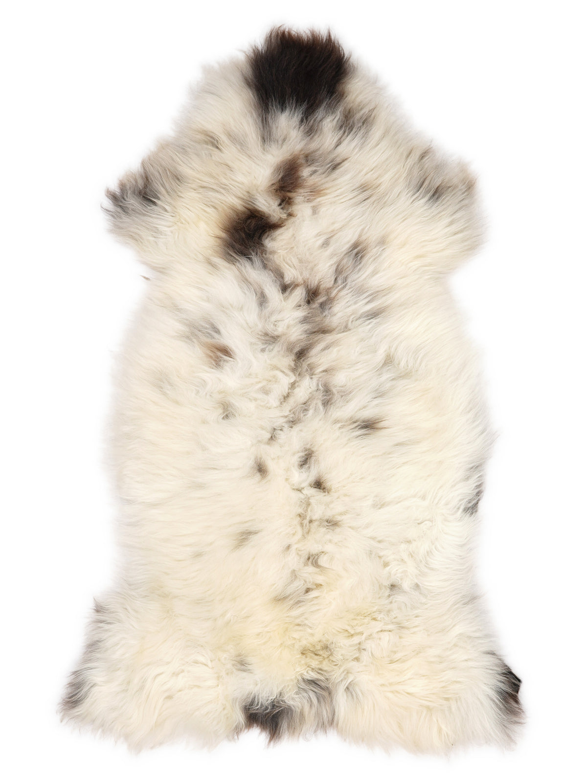 British multicolour sheepskin rug of about 125 × 65 cm, seen from above: the exact sheepskin you receive