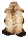 British multicolour sheepskin rug of about 100 × 60 cm, seen from above: the exact sheepskin you receive