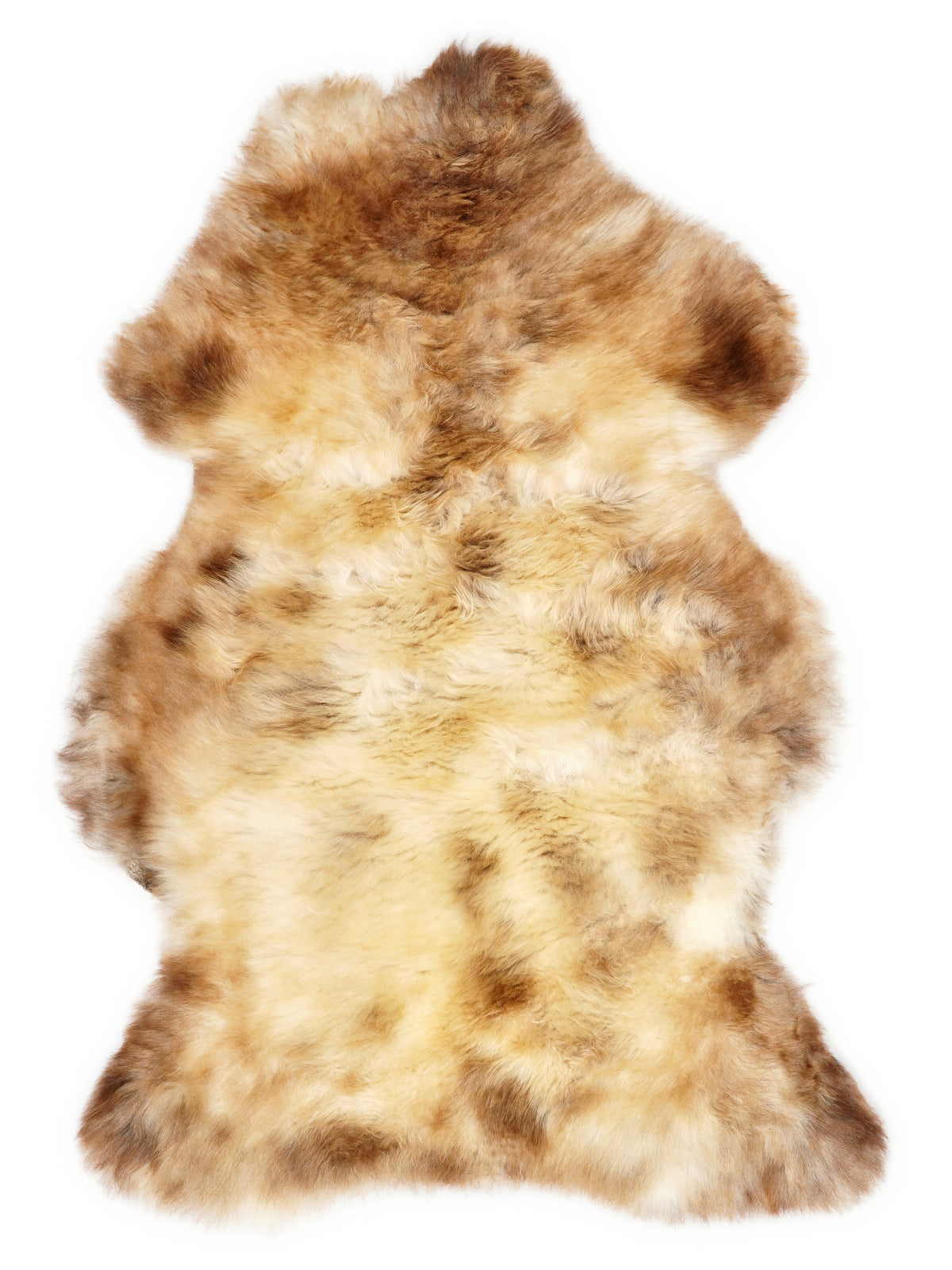 British multicolour sheepskin rug of about 105 × 65 cm, seen from above: the exact sheepskin you receive