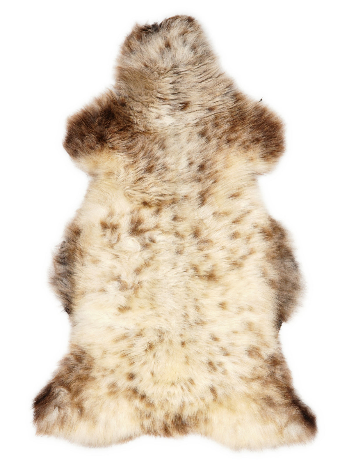 British multicolour sheepskin rug of about 110 × 60 cm, seen from above: the exact sheepskin you receive