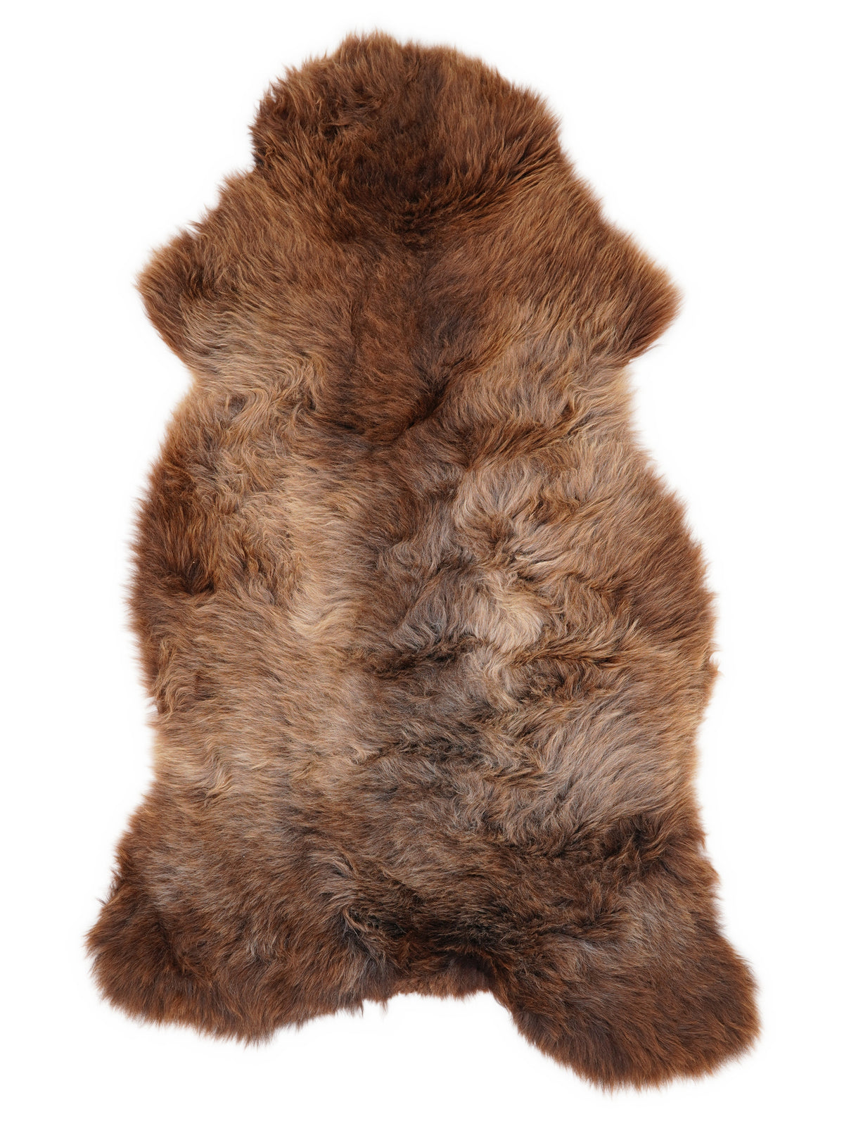British multicolour sheepskin rug of about 130 × 65 cm, seen from above: the exact sheepskin you receive