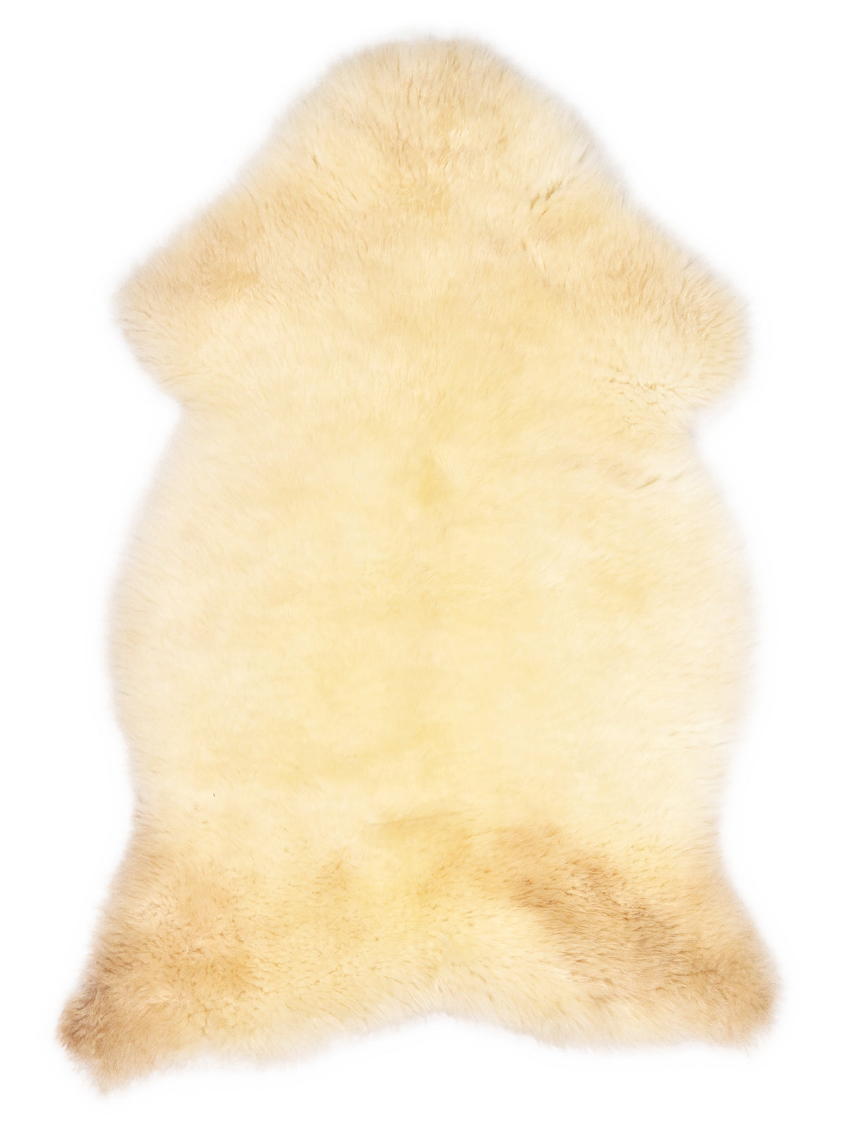 British multicolour sheepskin rug of about 105 × 60 cm, seen from above: the exact sheepskin you receive