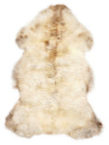 British multicolour sheepskin rug of about 110 × 60 cm, seen from above: the exact sheepskin you receive