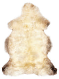 British multicolour sheepskin rug of about 110 × 65 cm, seen from above: the exact sheepskin you receive