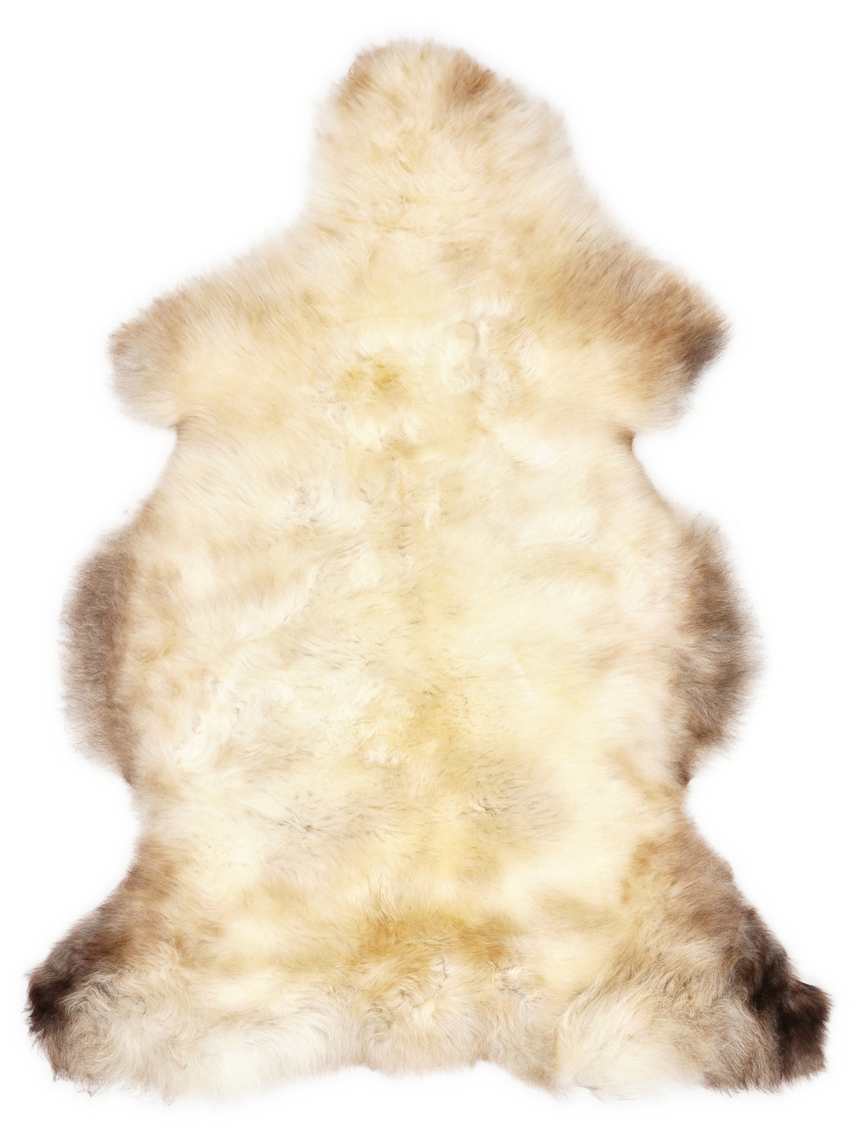 British multicolour sheepskin rug of about 110 × 65 cm, seen from above: the exact sheepskin you receive