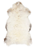 British multicolour sheepskin rug of about 130 × 70 cm, seen from above: the exact sheepskin you receive