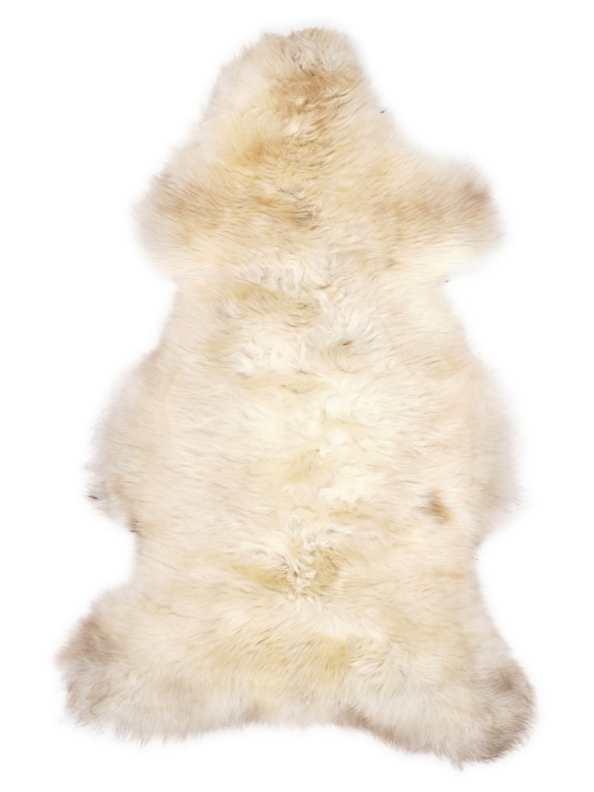 British multicolour sheepskin rug of about 110 × 60 cm, seen from above: the exact sheepskin you receive