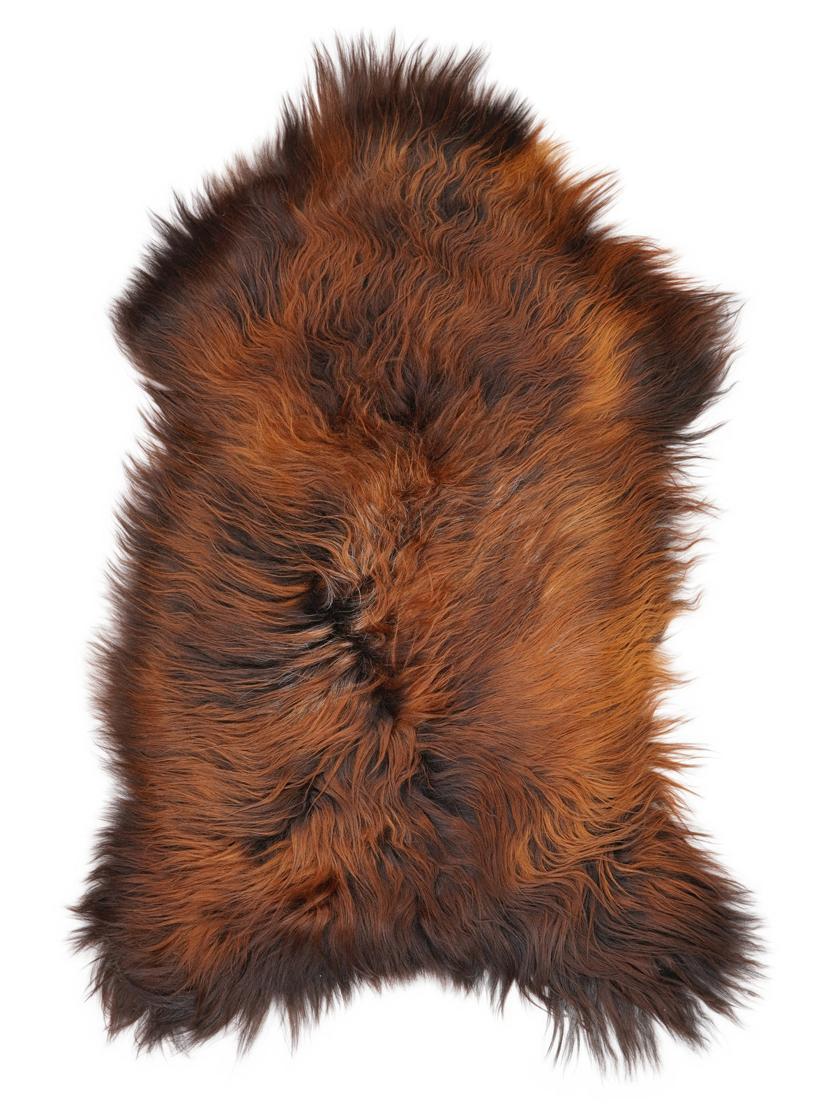 Icelandic multicolour sheepskin rug of about 120 × 65 cm, seen from above: the exact sheepskin you receive