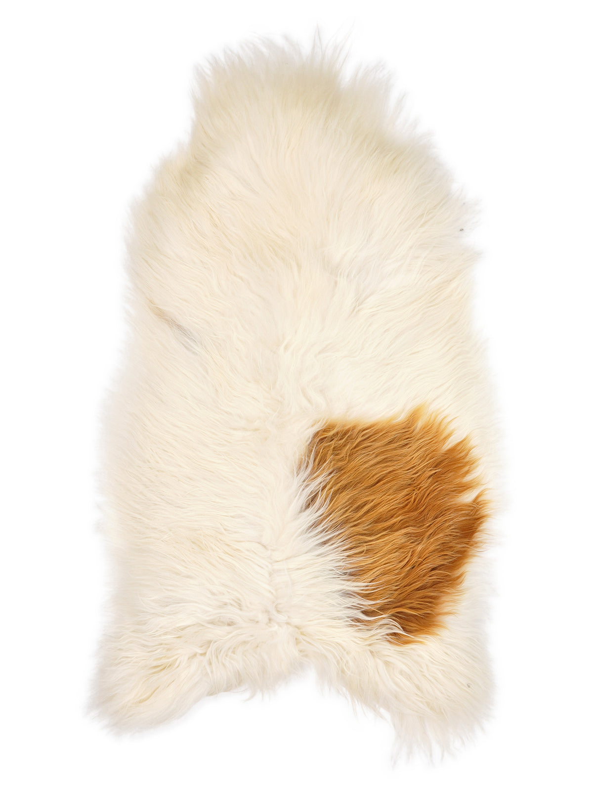 Icelandic multicolour sheepskin rug of about 130 × 70 cm, seen from above: the exact sheepskin you receive