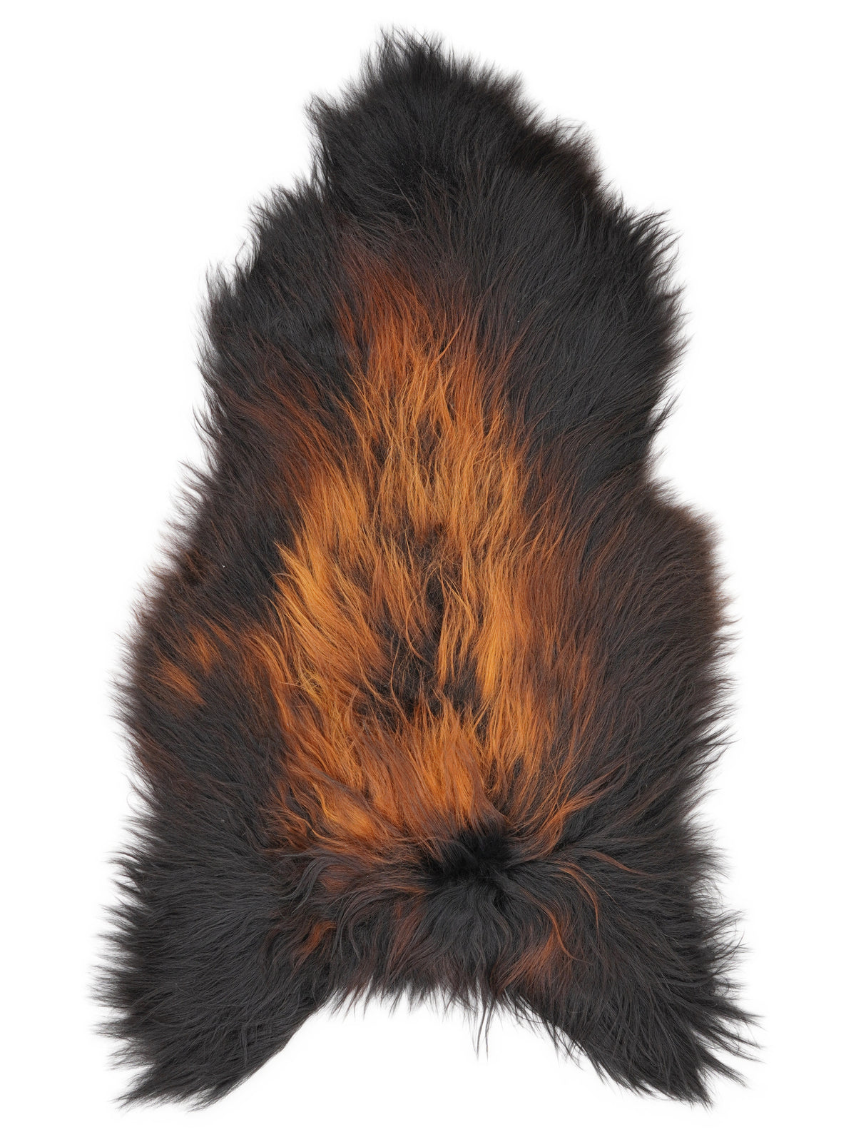 Icelandic multicolour sheepskin rug of about 130 × 70 cm, seen from above: the exact sheepskin you receive