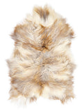 Icelandic multicolour sheepskin rug of about 120 × 75 cm, seen from above: the exact sheepskin you receive
