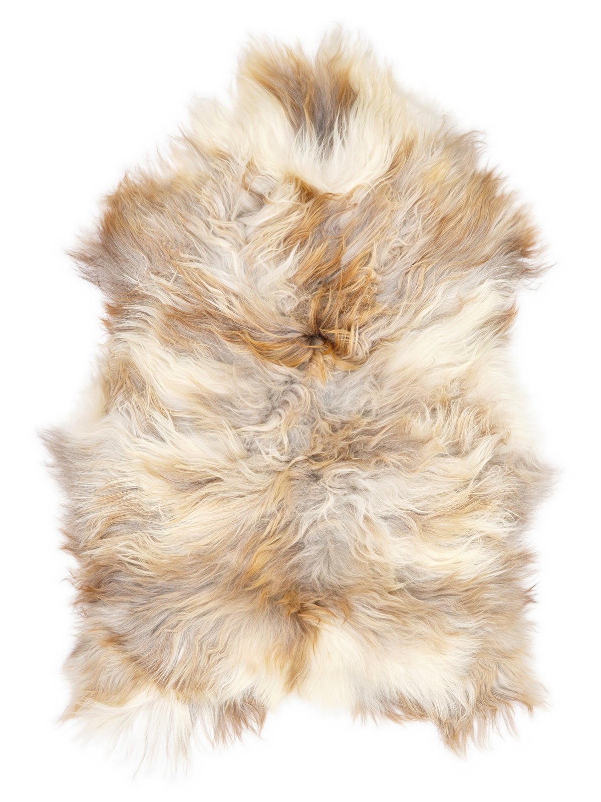Icelandic multicolour sheepskin rug of about 120 × 75 cm, seen from above: the exact sheepskin you receive