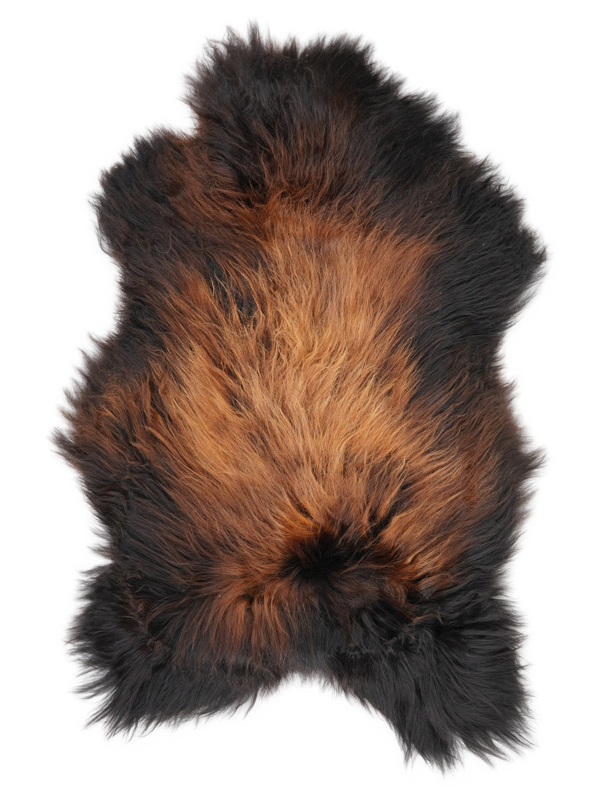 Icelandic multicolour sheepskin rug of about 120 × 70 cm, seen from above: the exact sheepskin you receive