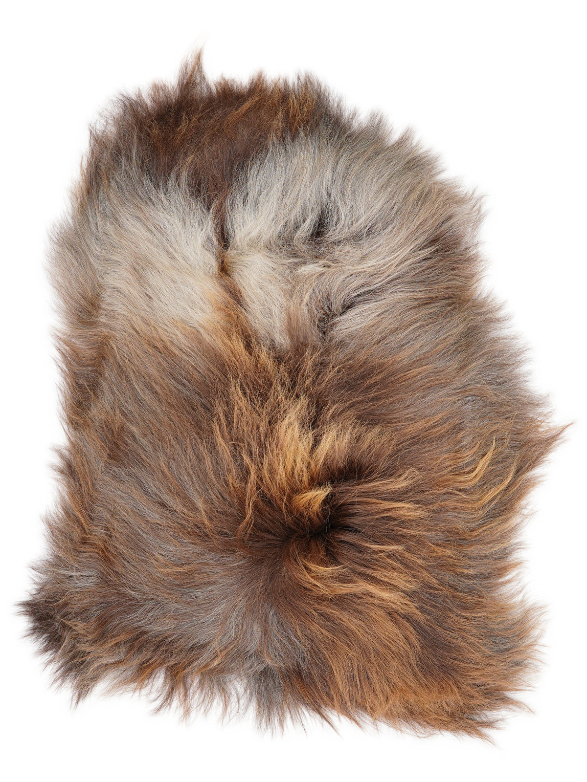 Icelandic multicolour sheepskin rug of about 110 × 70 cm, seen from above: the exact sheepskin you receive