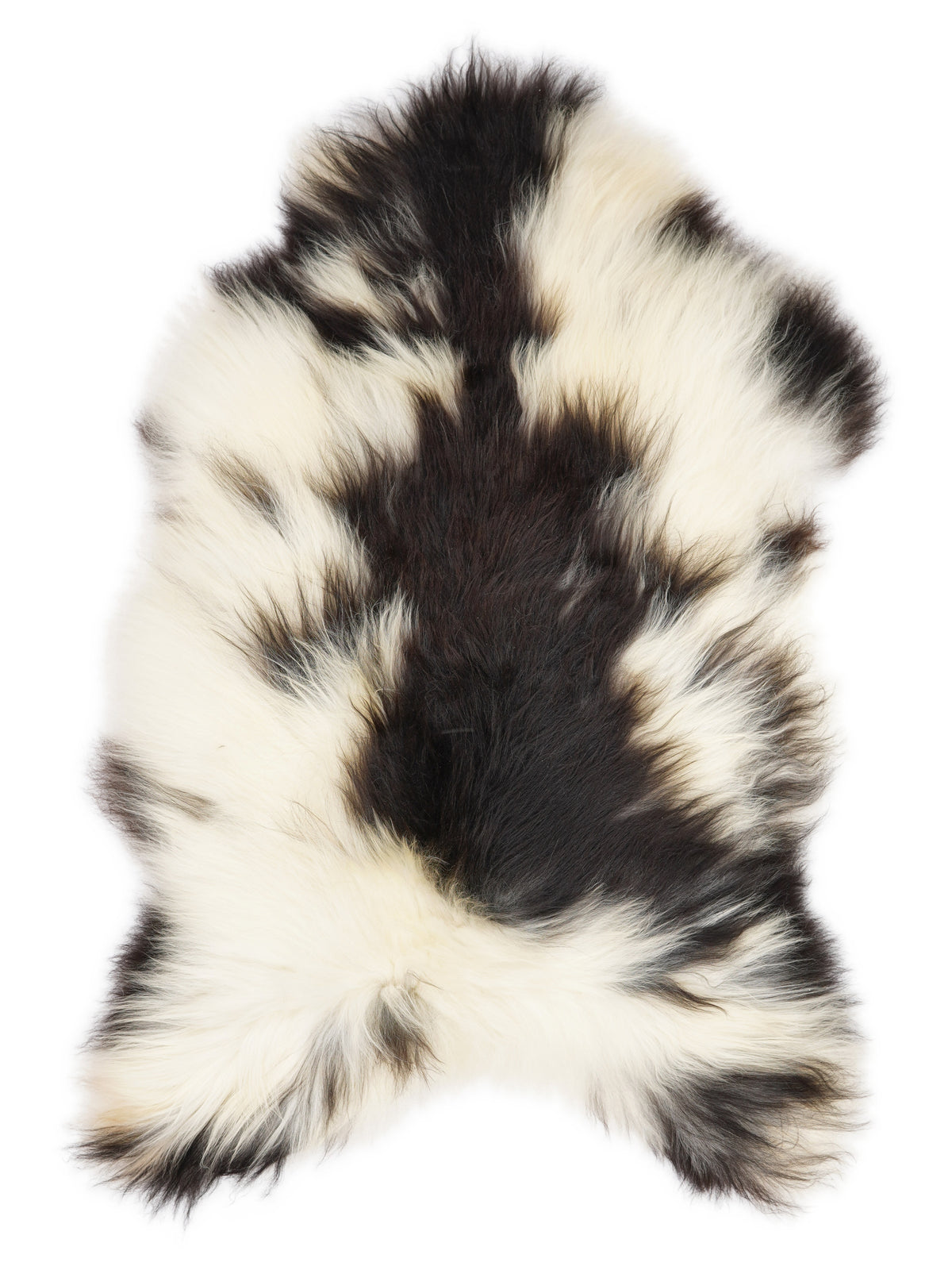 Icelandic multicolour sheepskin rug of about 140 × 80 cm, seen from above: the exact sheepskin you receive