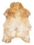 Icelandic multicolour sheepskin rug of about 120 × 80 cm, seen from above: the exact sheepskin you receive