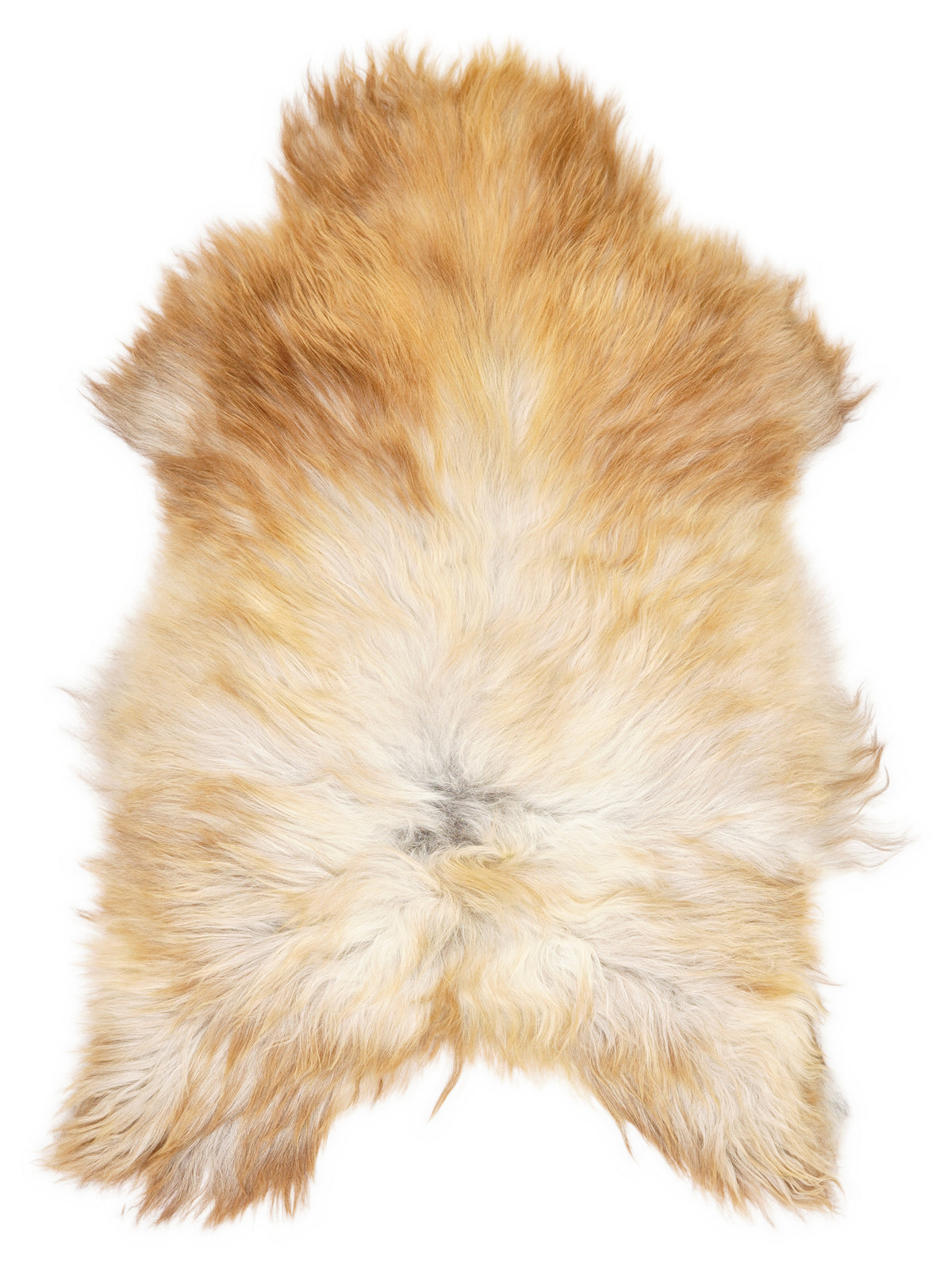 Icelandic multicolour sheepskin rug of about 120 × 80 cm, seen from above: the exact sheepskin you receive