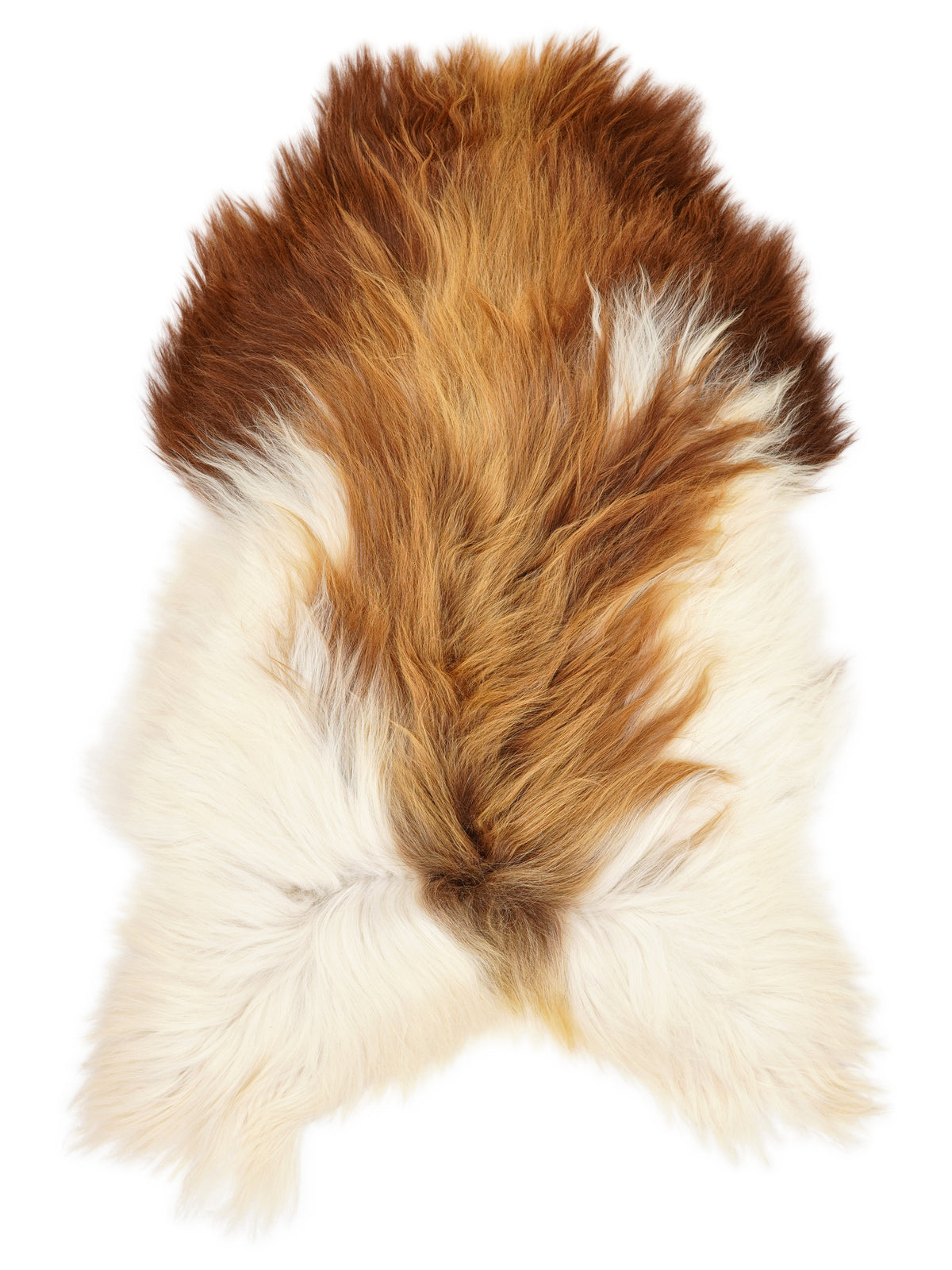 Icelandic multicolour sheepskin rug of about 140 × 85 cm, seen from above: the exact sheepskin you receive