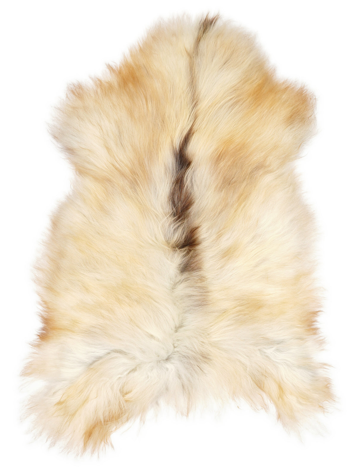 Icelandic multicolour sheepskin rug of about 120 × 75 cm, seen from above: the exact sheepskin you receive