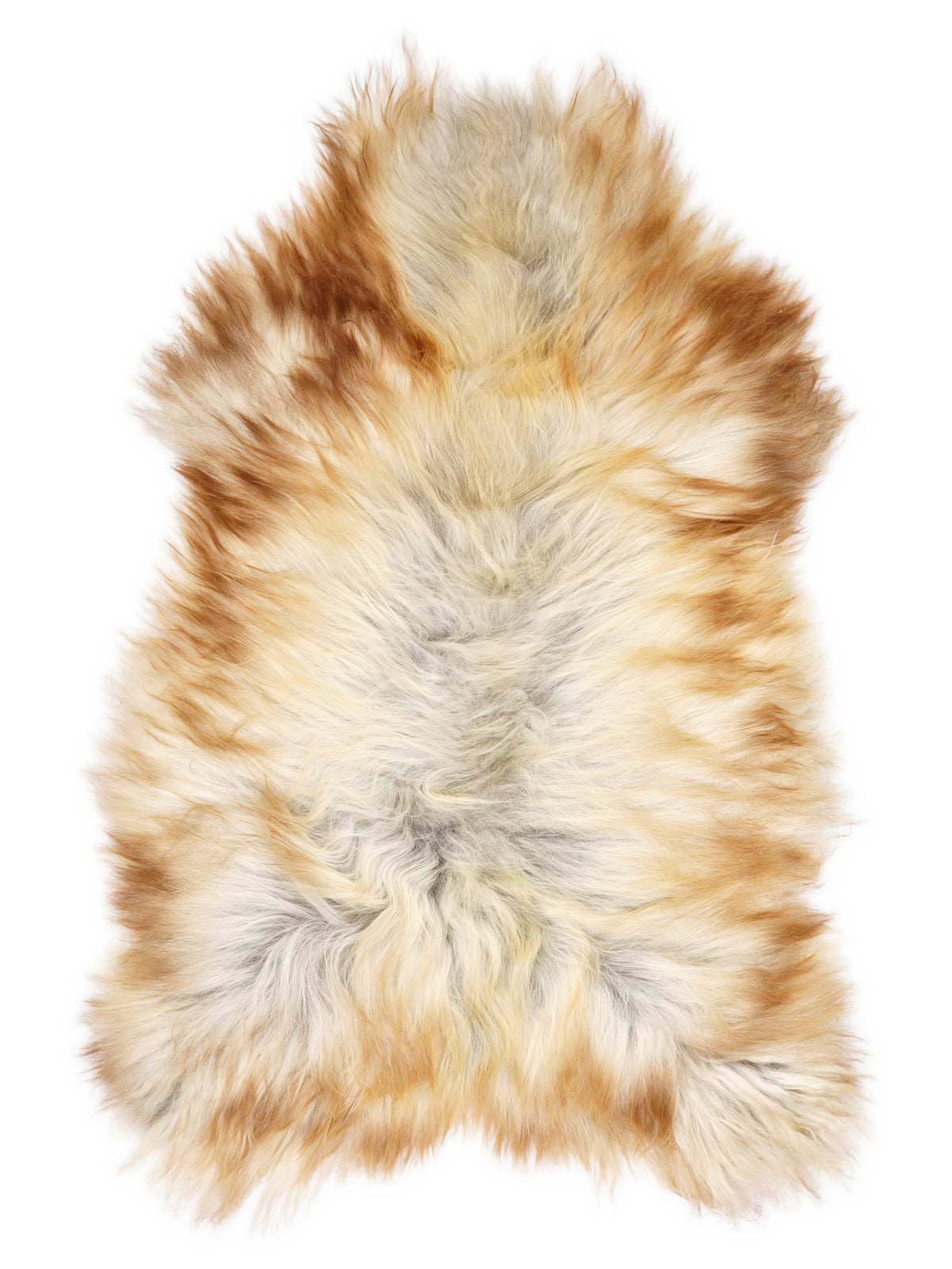 Icelandic multicolour sheepskin rug of about 130 × 80 cm, seen from above: the exact sheepskin you receive