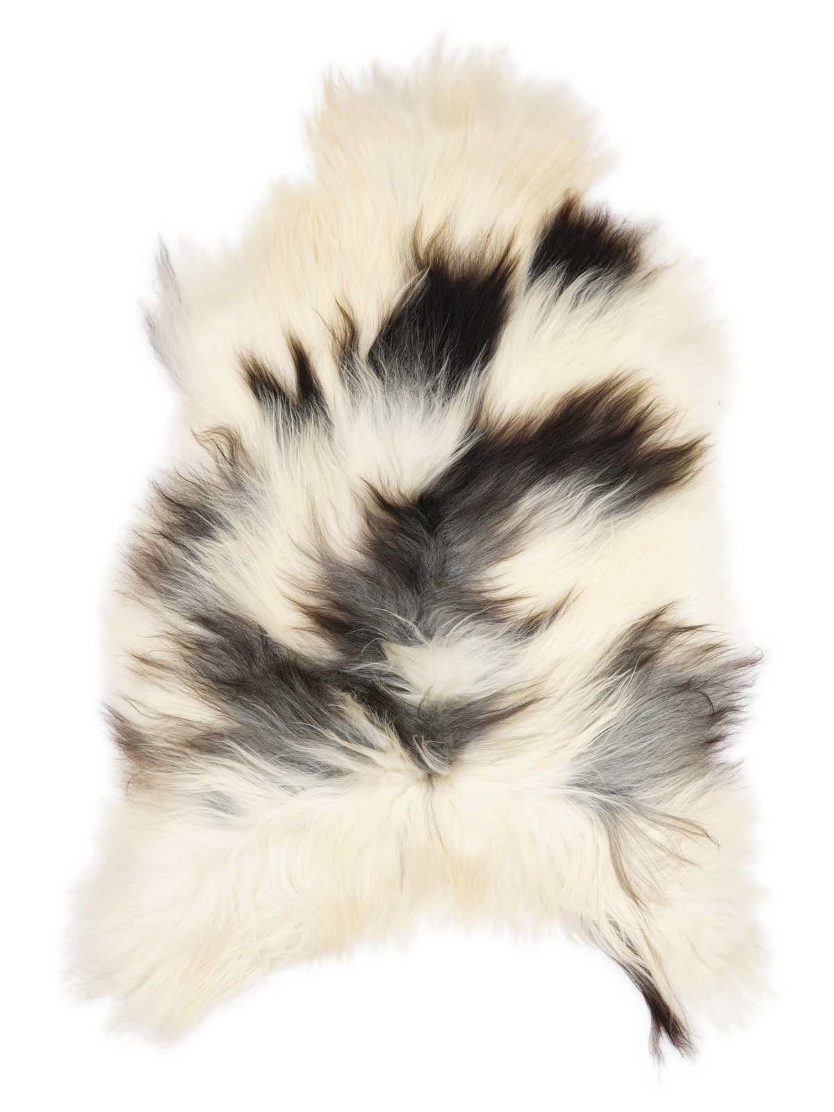 Icelandic multicolour sheepskin rug of about 130 × 80 cm, seen from above: the exact sheepskin you receive