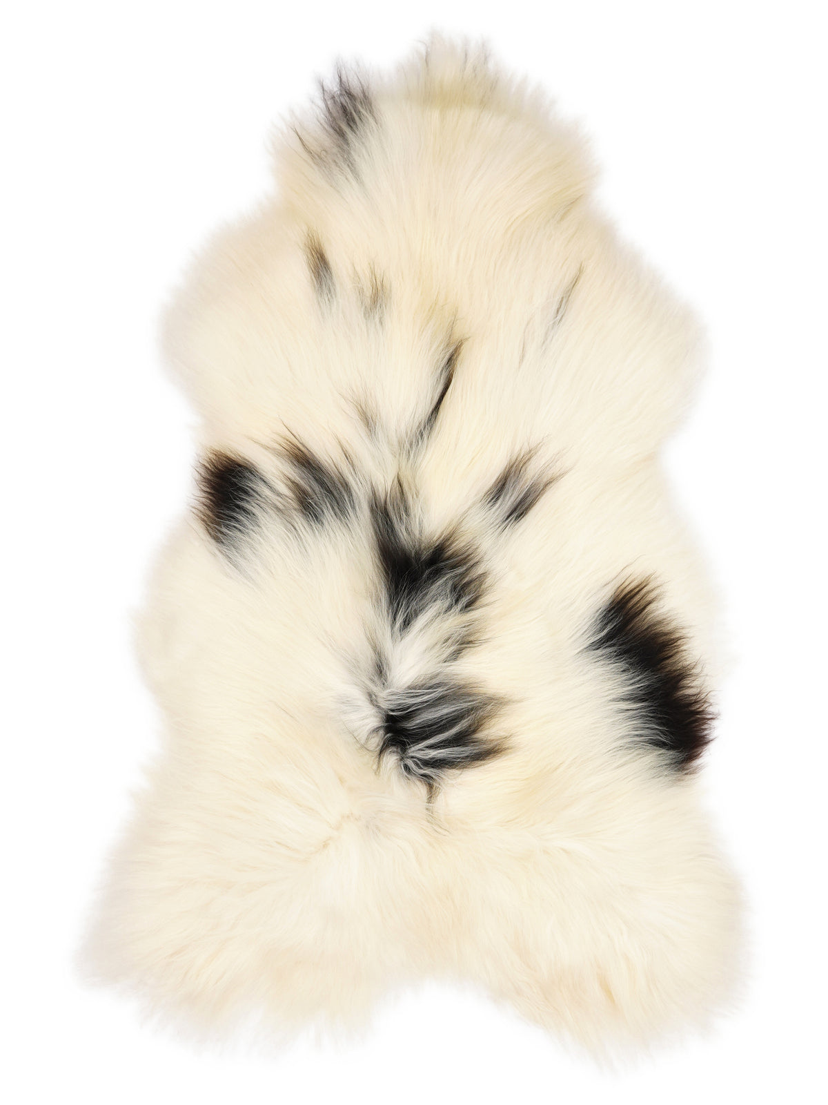 Icelandic multicolour sheepskin rug of about 130 × 70 cm, seen from above: the exact sheepskin you receive