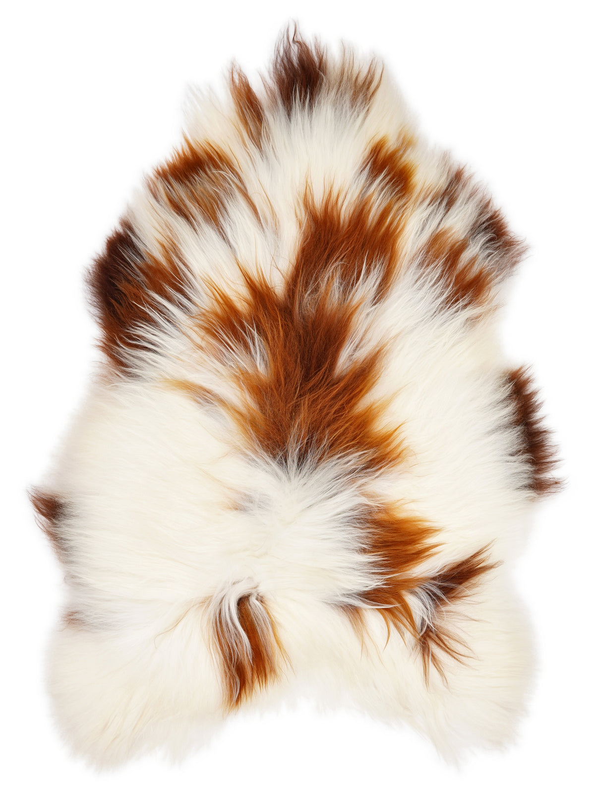 Icelandic multicolour sheepskin rug of about 135 × 90 cm, seen from above: the exact sheepskin you receive