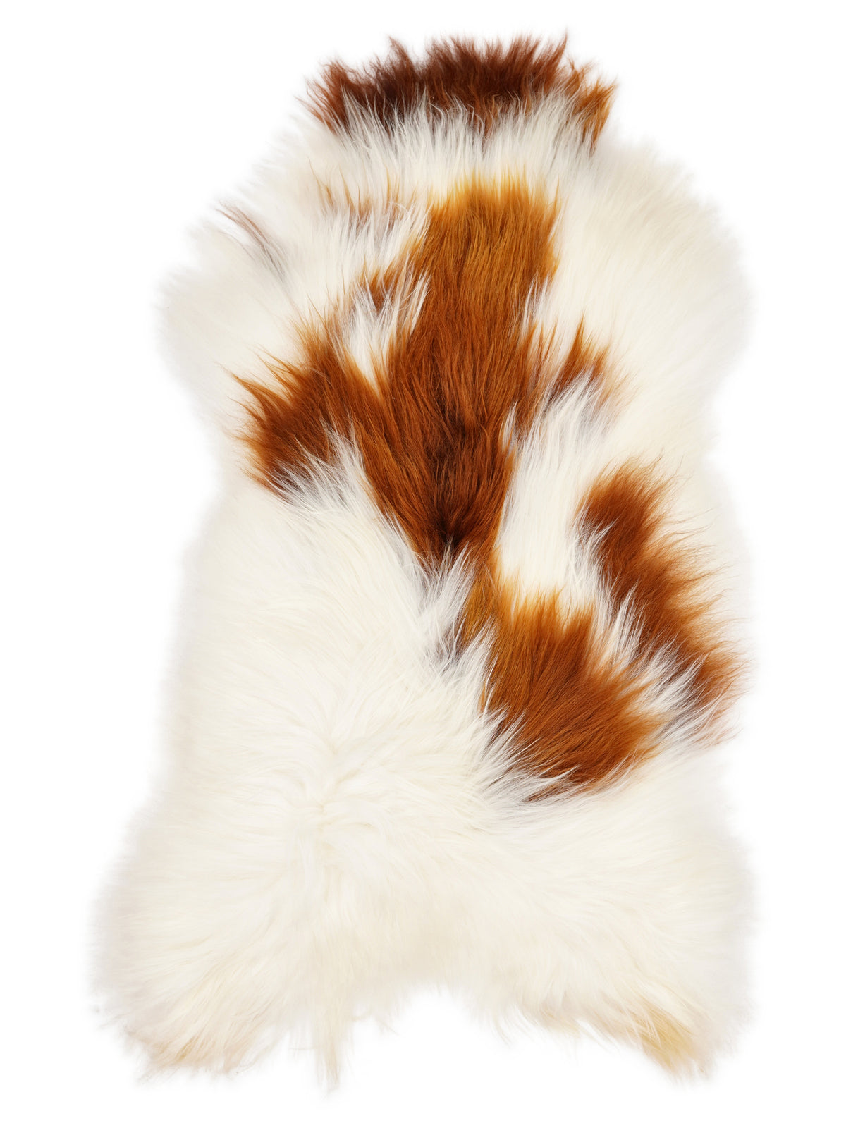 Icelandic multicolour sheepskin rug of about 130 × 70 cm, seen from above: the exact sheepskin you receive