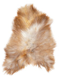 Icelandic multicolour sheepskin rug of about 120 × 80 cm, seen from above: the exact sheepskin you receive