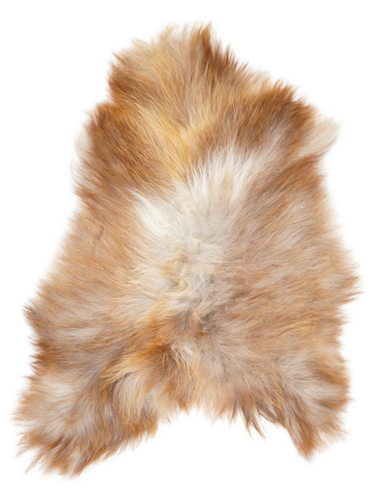 Icelandic multicolour sheepskin rug of about 120 × 80 cm, seen from above: the exact sheepskin you receive