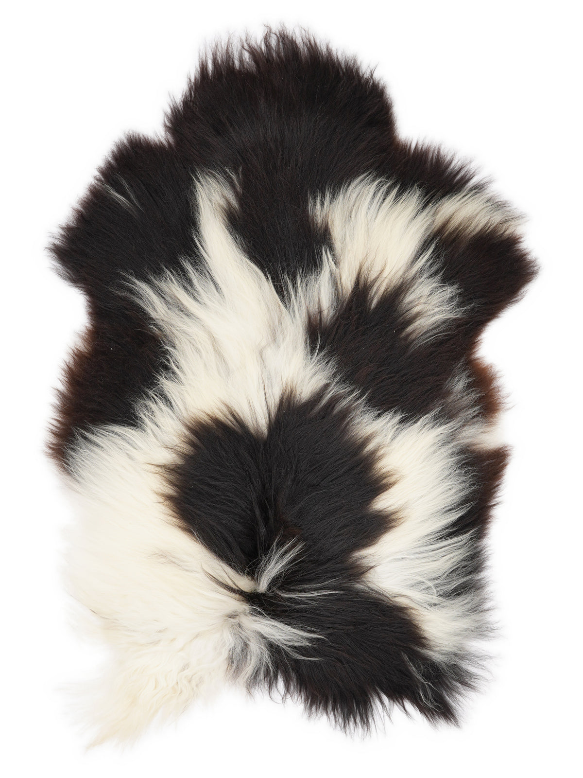 Icelandic multicolour sheepskin rug of about 130 × 80 cm, seen from above: the exact sheepskin you receive