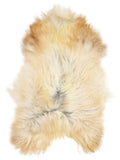 Icelandic multicolour sheepskin rug of about 130 × 85 cm, seen from above: the exact sheepskin you receive