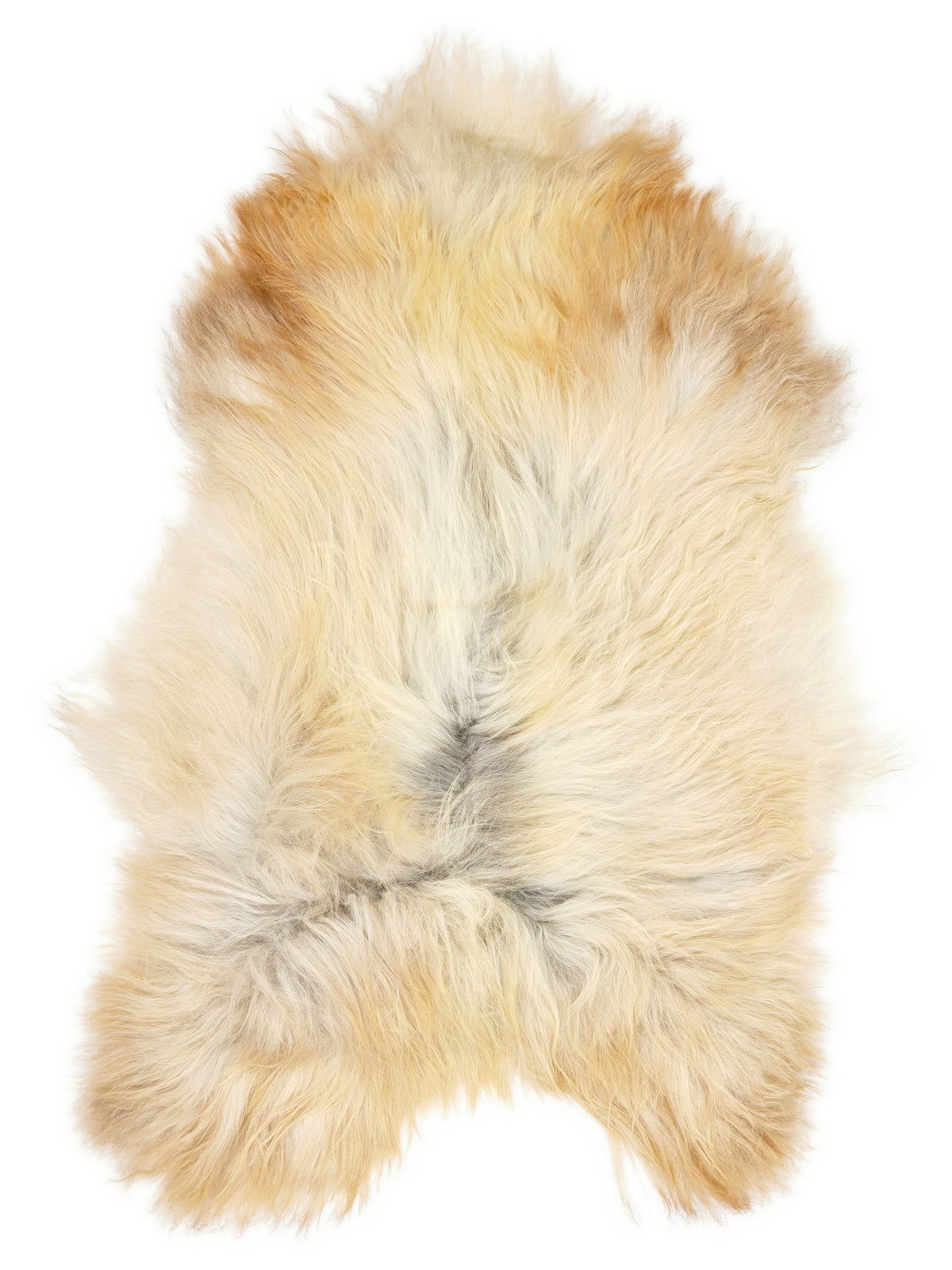 Icelandic multicolour sheepskin rug of about 130 × 85 cm, seen from above: the exact sheepskin you receive