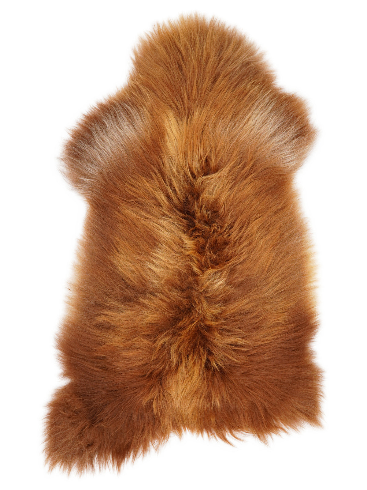 Icelandic multicolour sheepskin rug of about 110 × 65 cm, seen from above: the exact sheepskin you receive